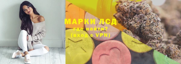 стаф Зерноград
