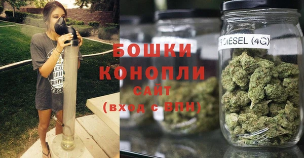 ГАЛЛЮЦИНОГЕННЫЕ ГРИБЫ Заволжск