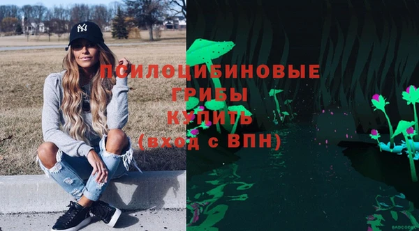 прущие крисы Зеленодольск