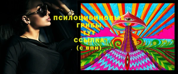 мескалин Заводоуковск