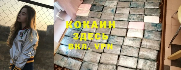 мескалин Заводоуковск